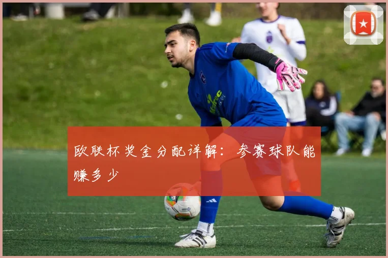 欧联杯奖金分配详解：参赛球队能赚多少