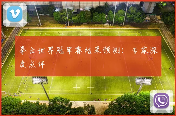 拳击世界冠军赛结果预测：专家深度点评