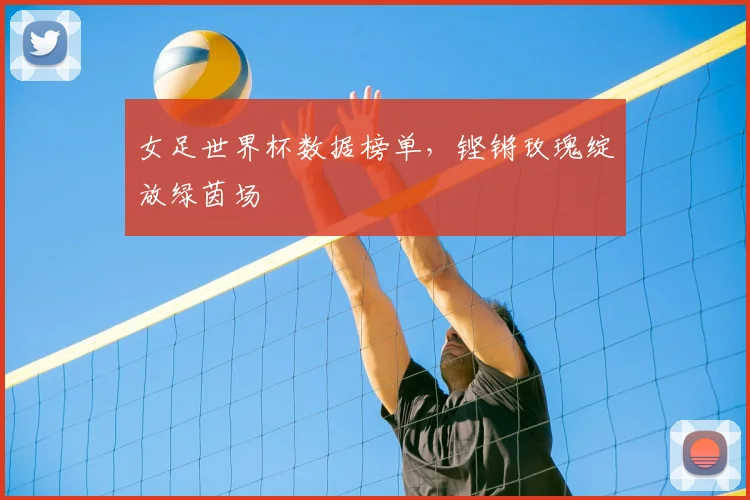 女足世界杯数据榜单,铿锵玫瑰绽放绿茵场