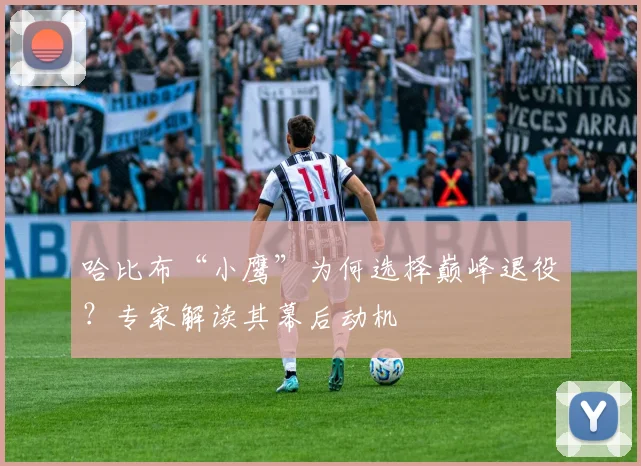 哈比布“小鹰”为何选择巅峰退役?专家解读其幕后动机