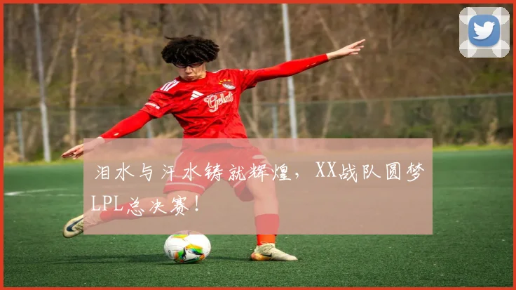 泪水与汗水铸就辉煌,XX战队圆梦LPL总决赛!