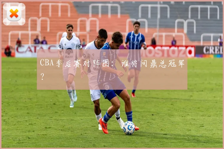 CBA季后赛对阵图:谁将问鼎总冠军?