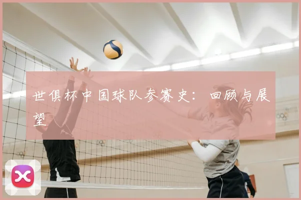 世俱杯中国球队参赛史：回顾与展望