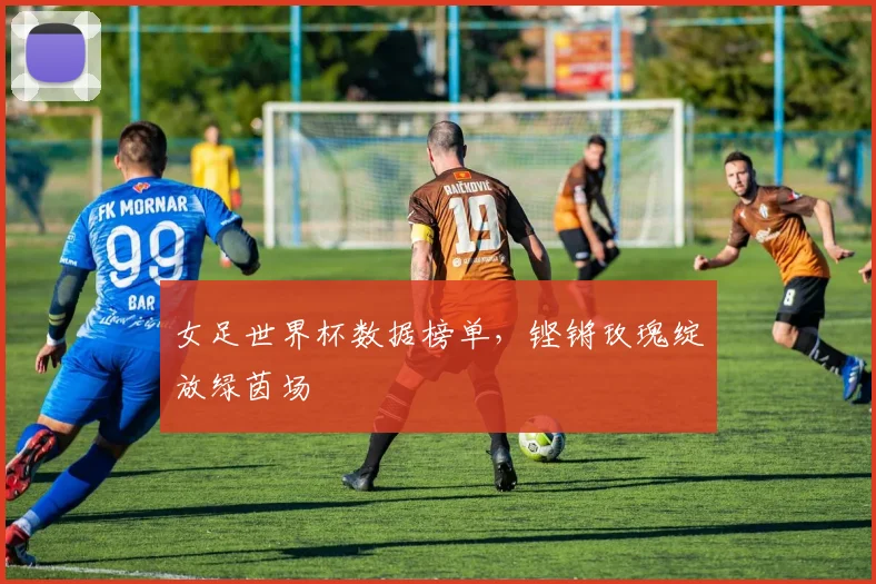 女足世界杯数据榜单,铿锵玫瑰绽放绿茵场