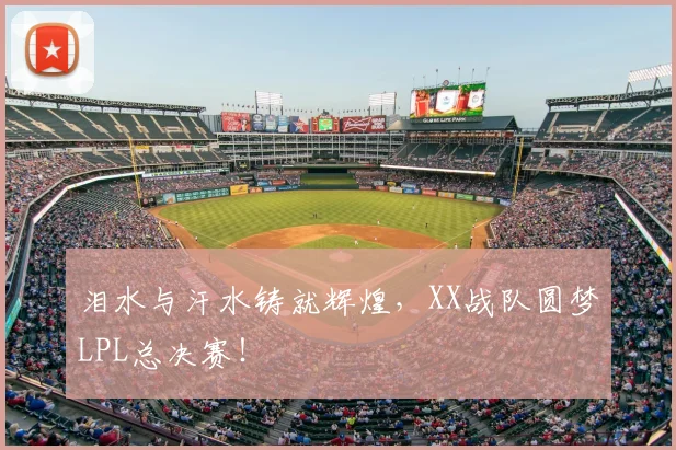 泪水与汗水铸就辉煌,XX战队圆梦LPL总决赛!